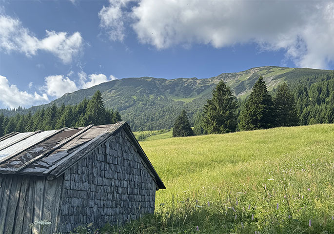 Bergpanorama im Hintergrund mit grüner Wiese und alter Berghütte im Vordergrund.
