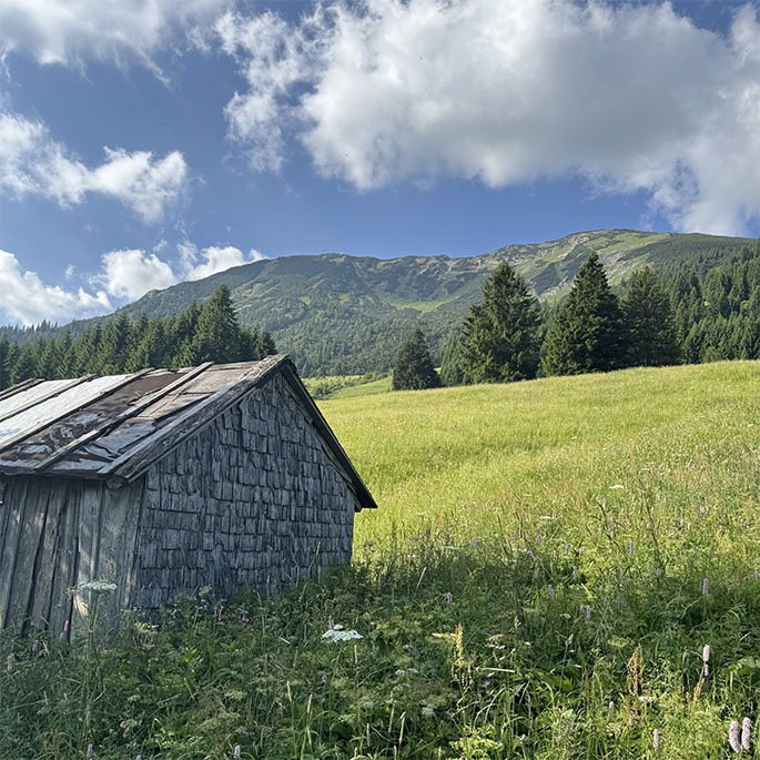 Bergpanorama im Hintergrund mit grüner Wiese und alter Berghütte im Vordergrund.