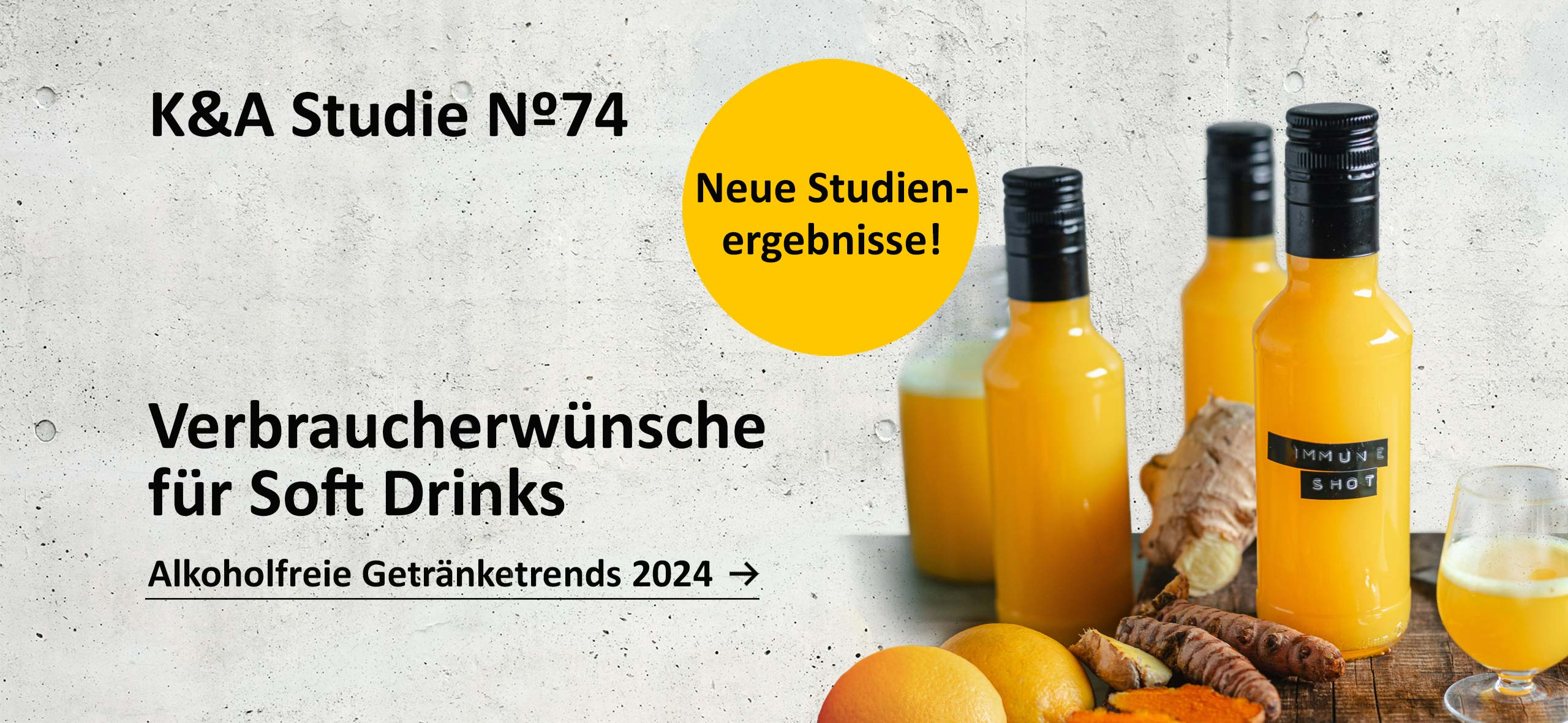 K&A Studie 74 - Neue Studienergebnisse